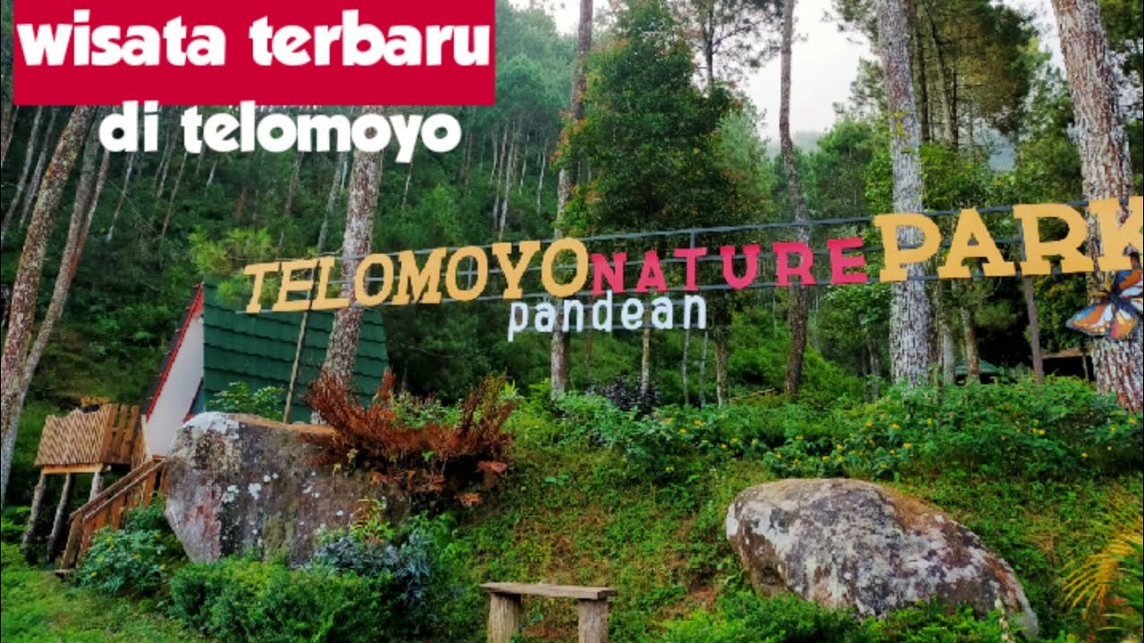 Telomoyo Nature Park: Menikmati Pesona Alam di Lereng Gunung Merapi